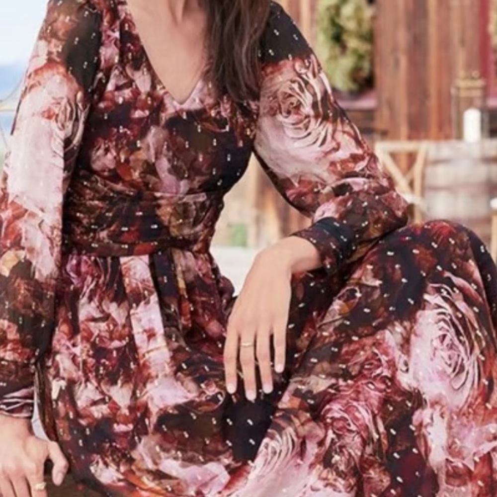 Beautiful silk Rina dress. Soft Surroundings